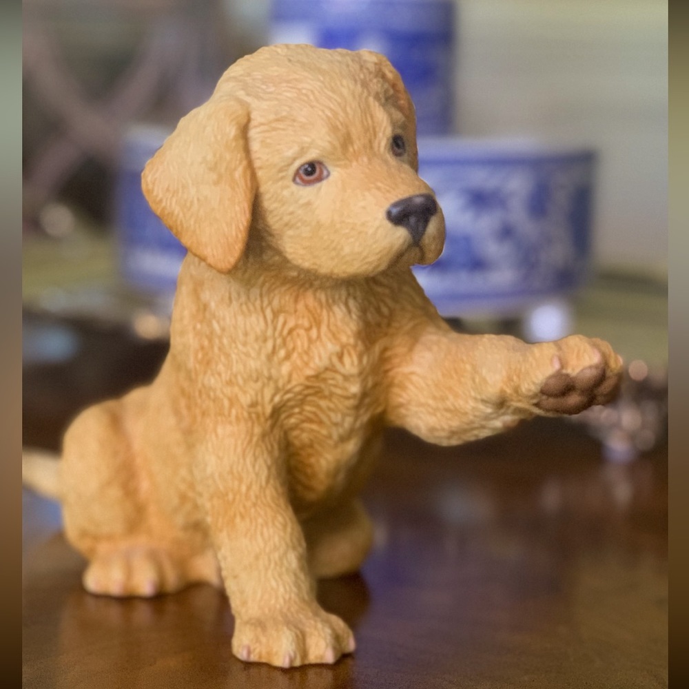Lenox Yellow Labrador Retriever